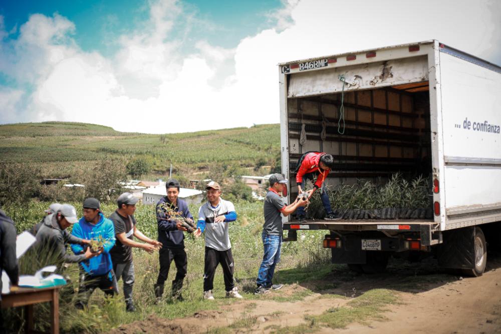 Students planting native seedlings alongside brigade members
