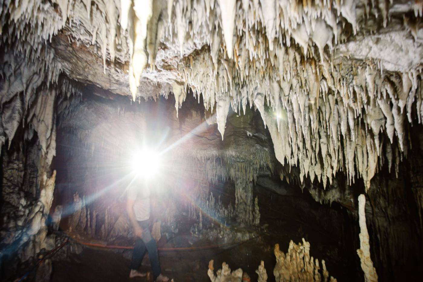 Stalactites hanging from a cave ceiling lit by a headlamp