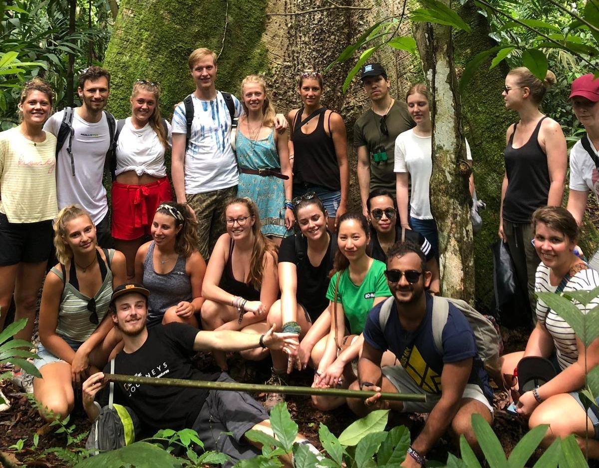 A student group gathered at the base of a giant rainforest tree