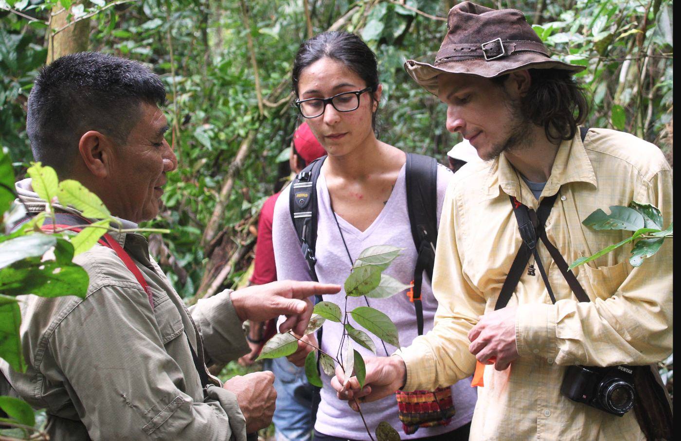A local field guide pointing out the leaves of a rainforest plant to two visiting travelers