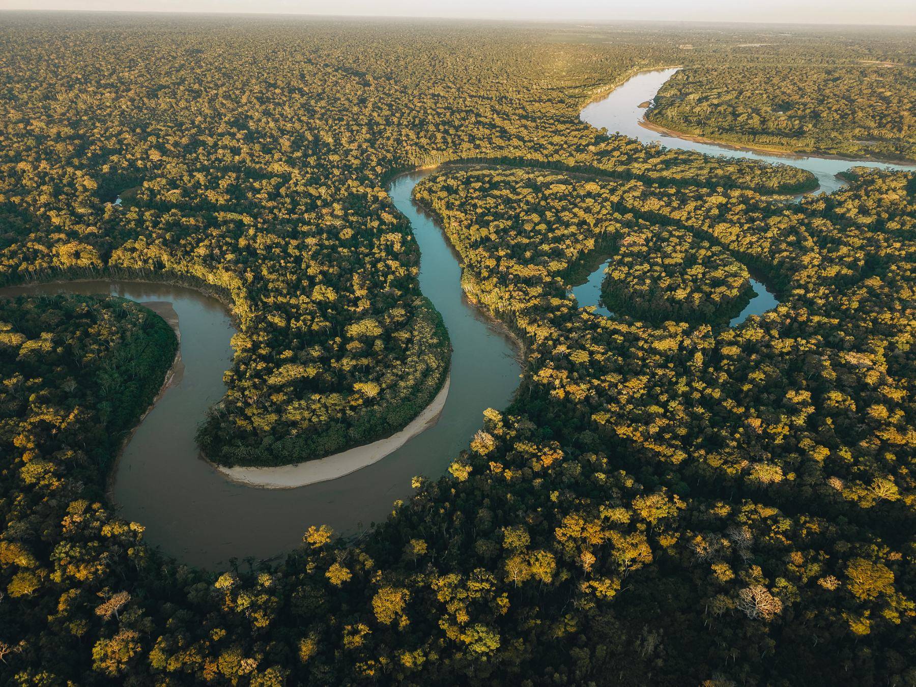 Aerial view of a river looping through unbroken Amazon rainforest in Madre de Dios