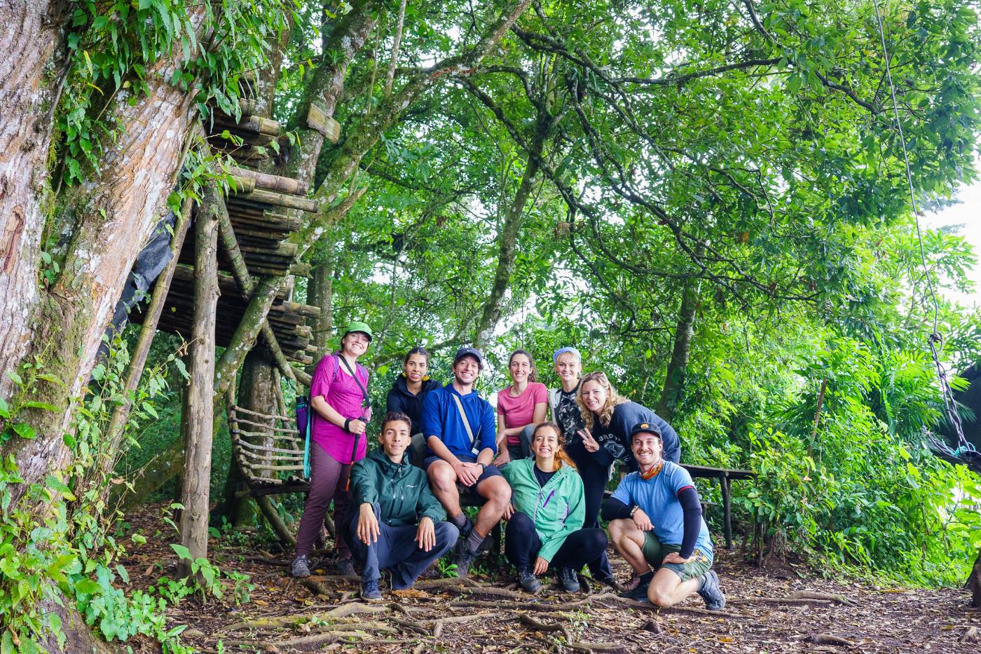 A travel group gathered beneath a wooden lookout in dense green subtropical forest