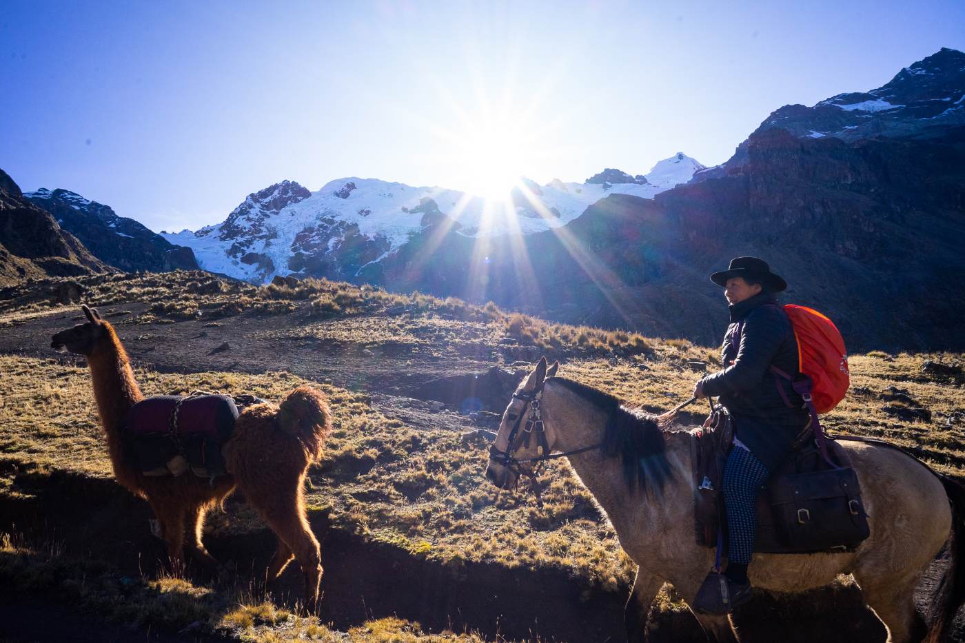 An Andean arriero on horseback leading a pack llama across a high grassland below a glacier