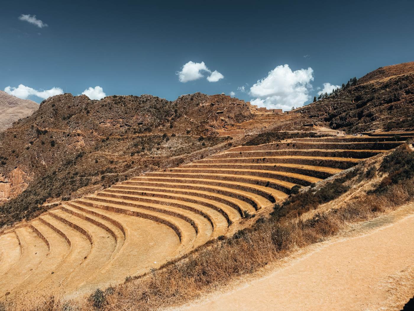 Curved Incan agricultural terraces on a Sacred Valley hillside
