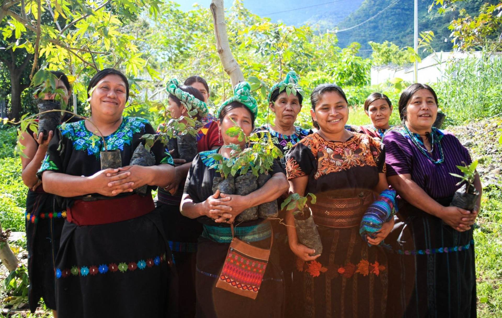Indigenous women from Wellkind Guatemala's nursery program holding native tree seedlings