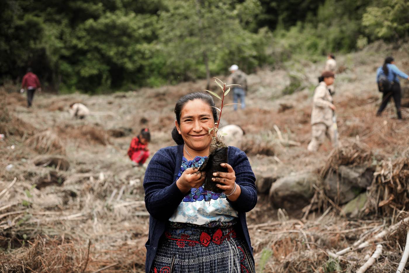 A woman holding a native seedling during a reforestation planting